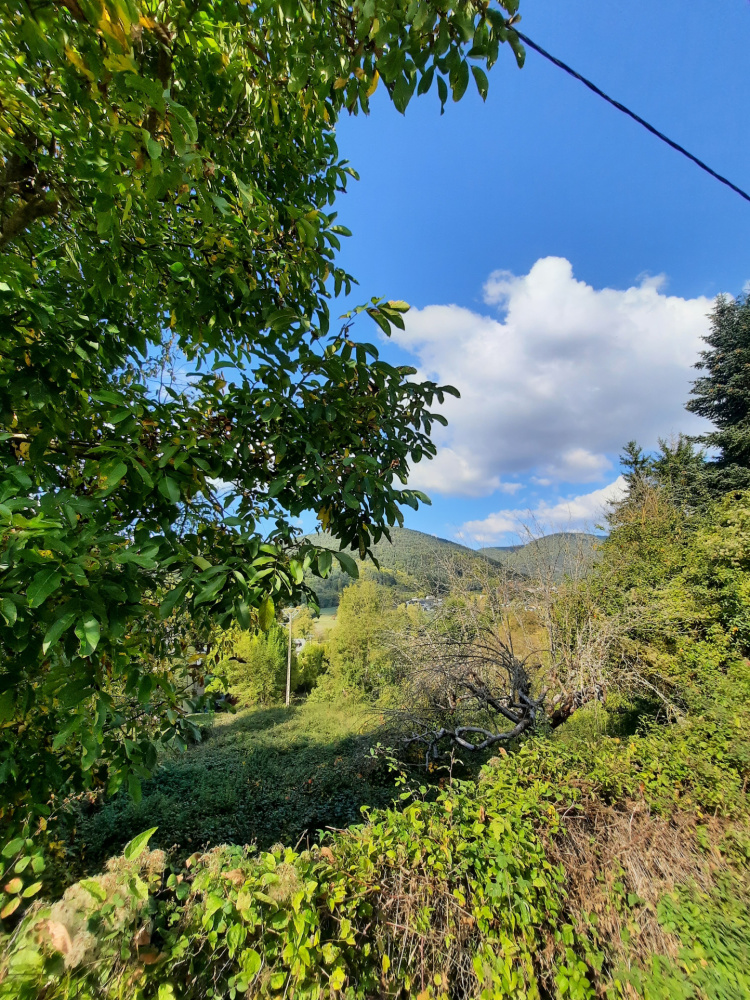 biens/1/3f9776e01b9cfdc517b61934ccf62377/photo_eee07d806067135b1a82465bf0c1afa2.jpg