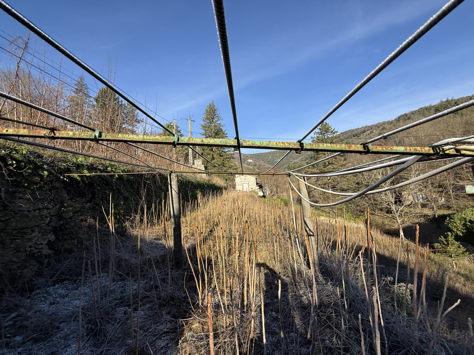 Image_, Maison, Le Vigan, ref :2777