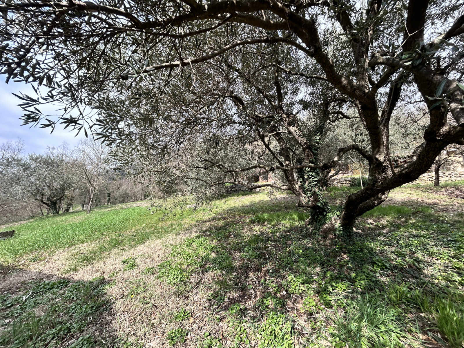 Image_, Maison, Molières-Cavaillac, ref :2783