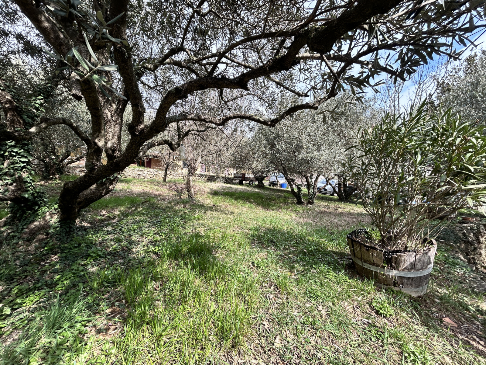 Image_, Maison, Molières-Cavaillac, ref :2783