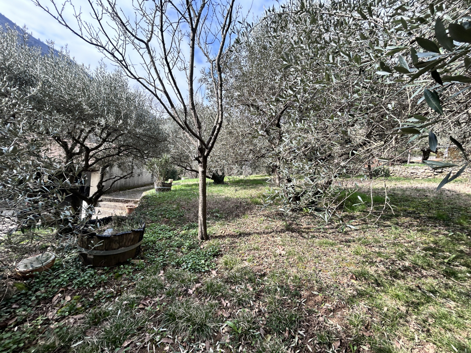 Image_, Maison, Molières-Cavaillac, ref :2783