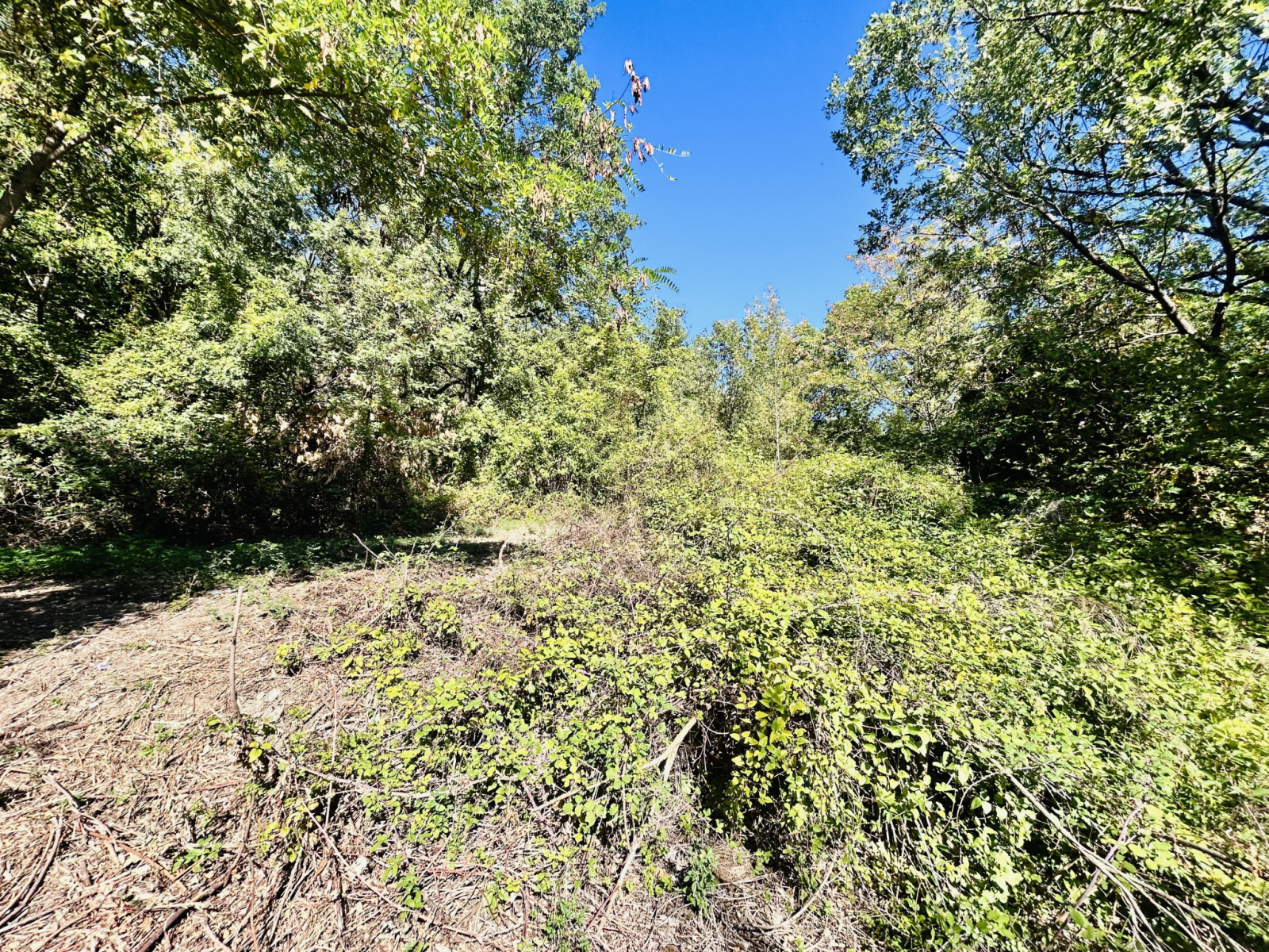 Image_, Terrain, Montdardier, ref :2814