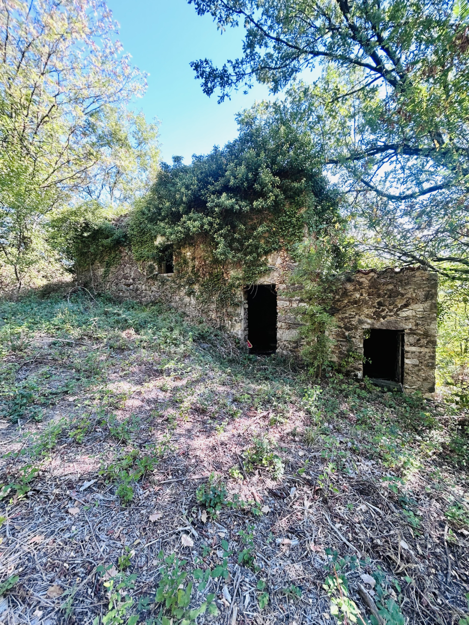 Image_, Terrain, Montdardier, ref :2814