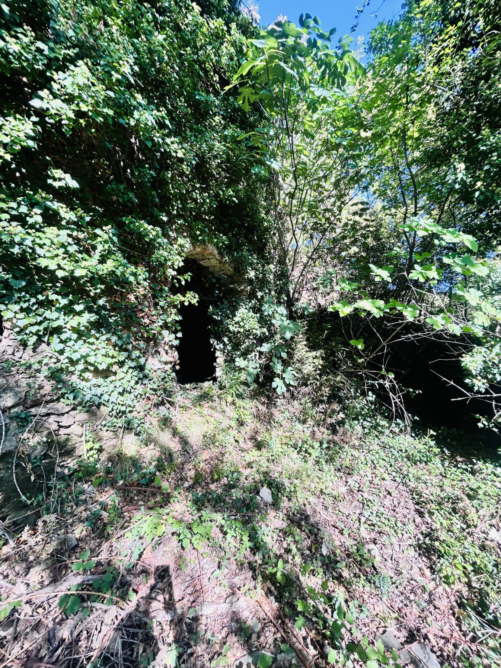 Image_, Terrain, Montdardier, ref :2814