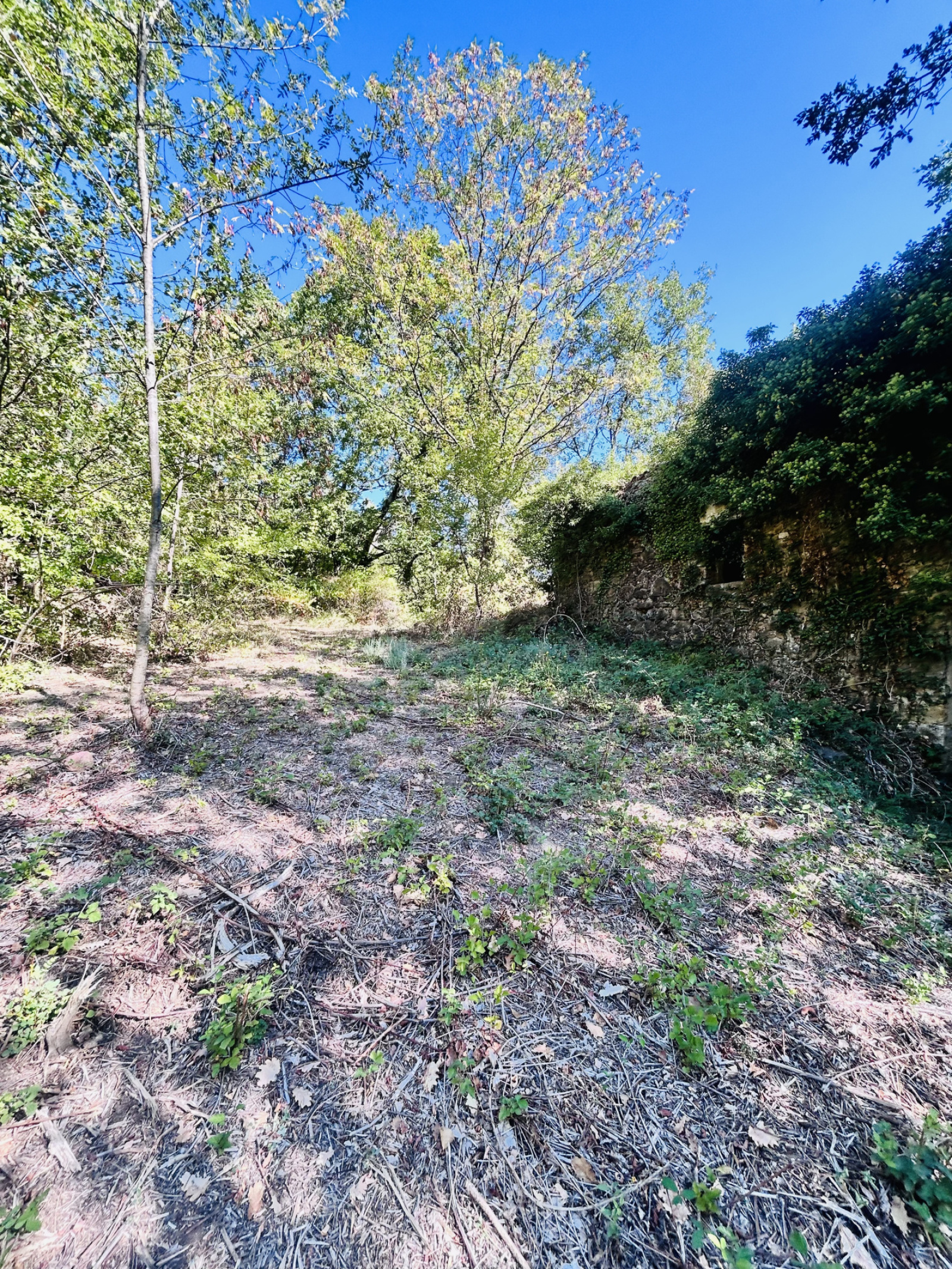 Image_, Terrain, Montdardier, ref :2814