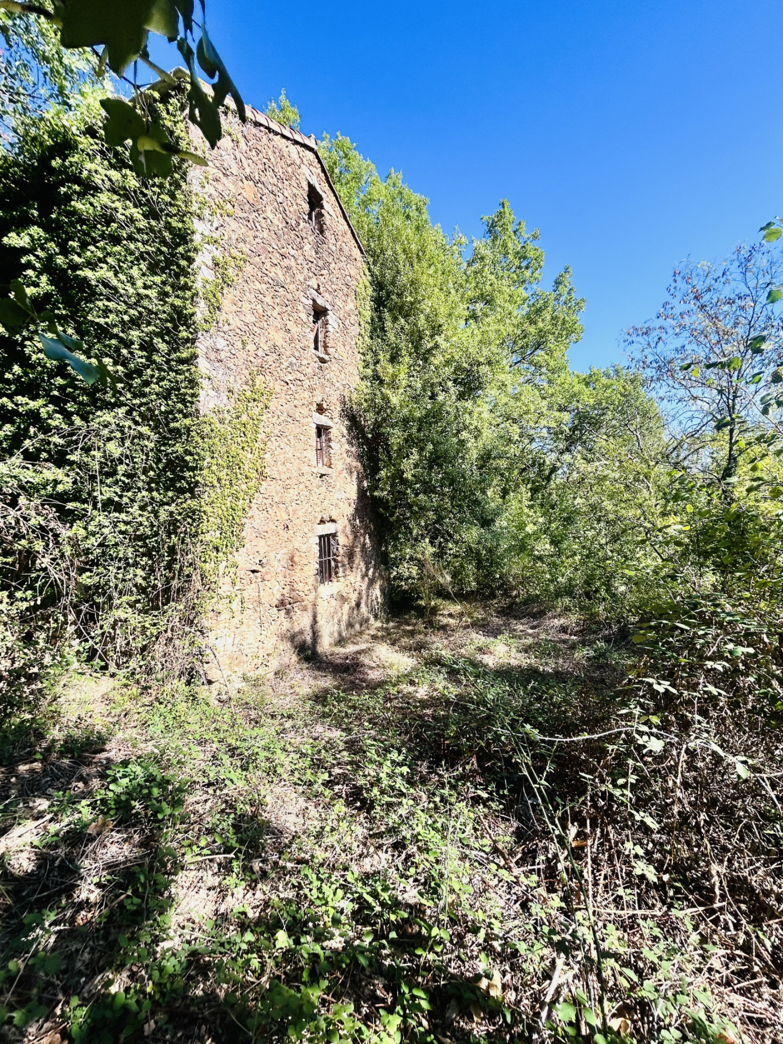 Image_, Terrain, Montdardier, ref :2814