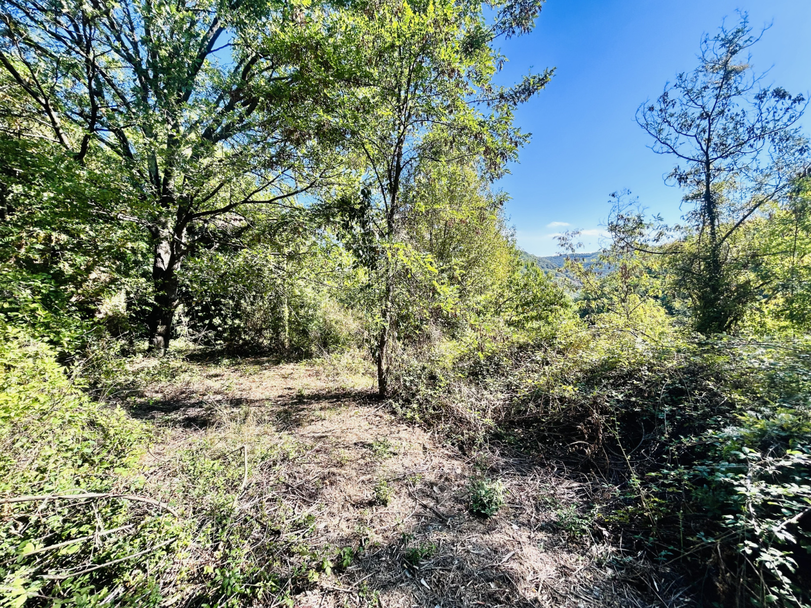 Image_, Terrain, Montdardier, ref :2814