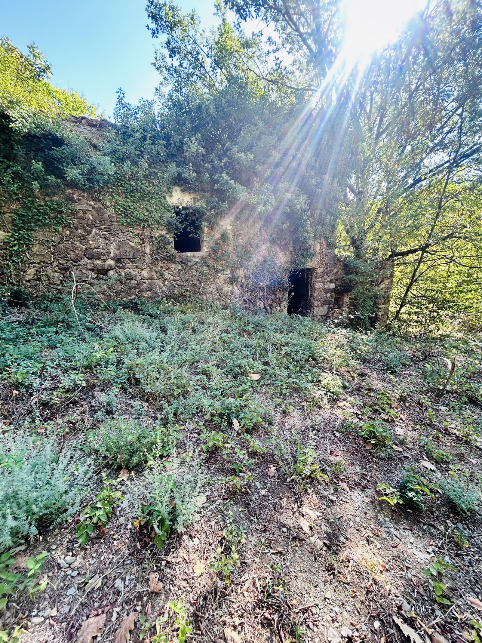 Image_, Terrain, Montdardier, ref :2814