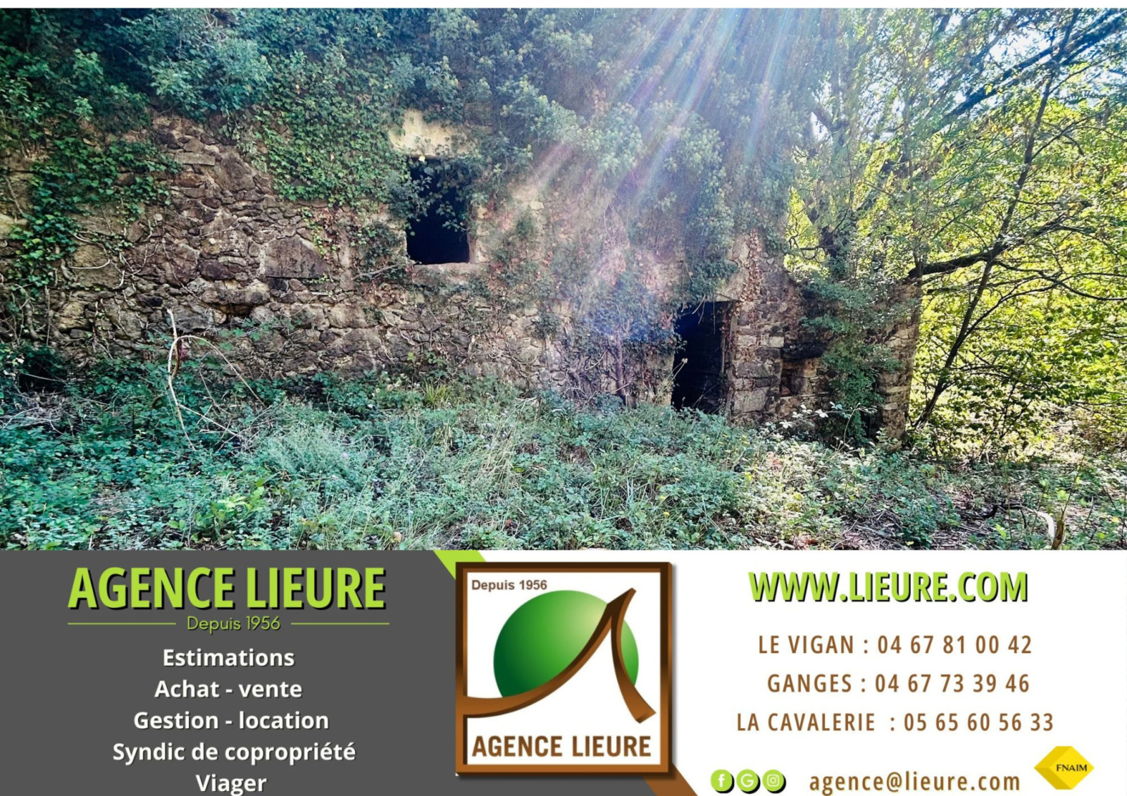 Image_, Terrain, Montdardier, ref :2814