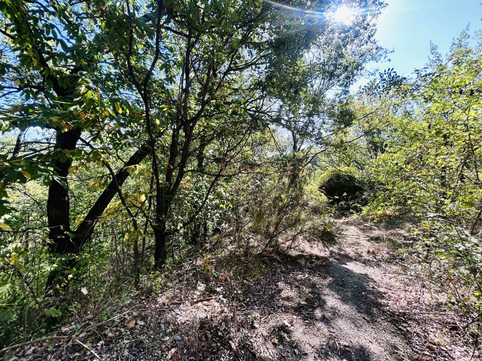 Image_, Terrain, Montdardier, ref :2814