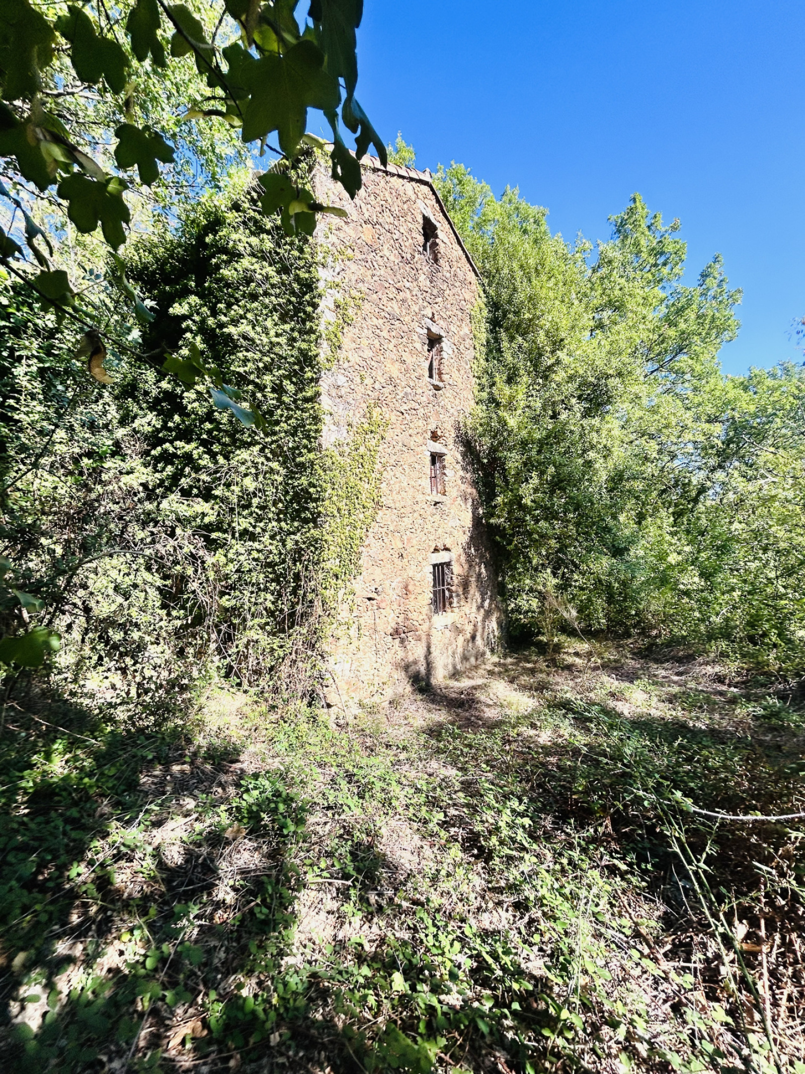 Image_, Terrain, Montdardier, ref :2814