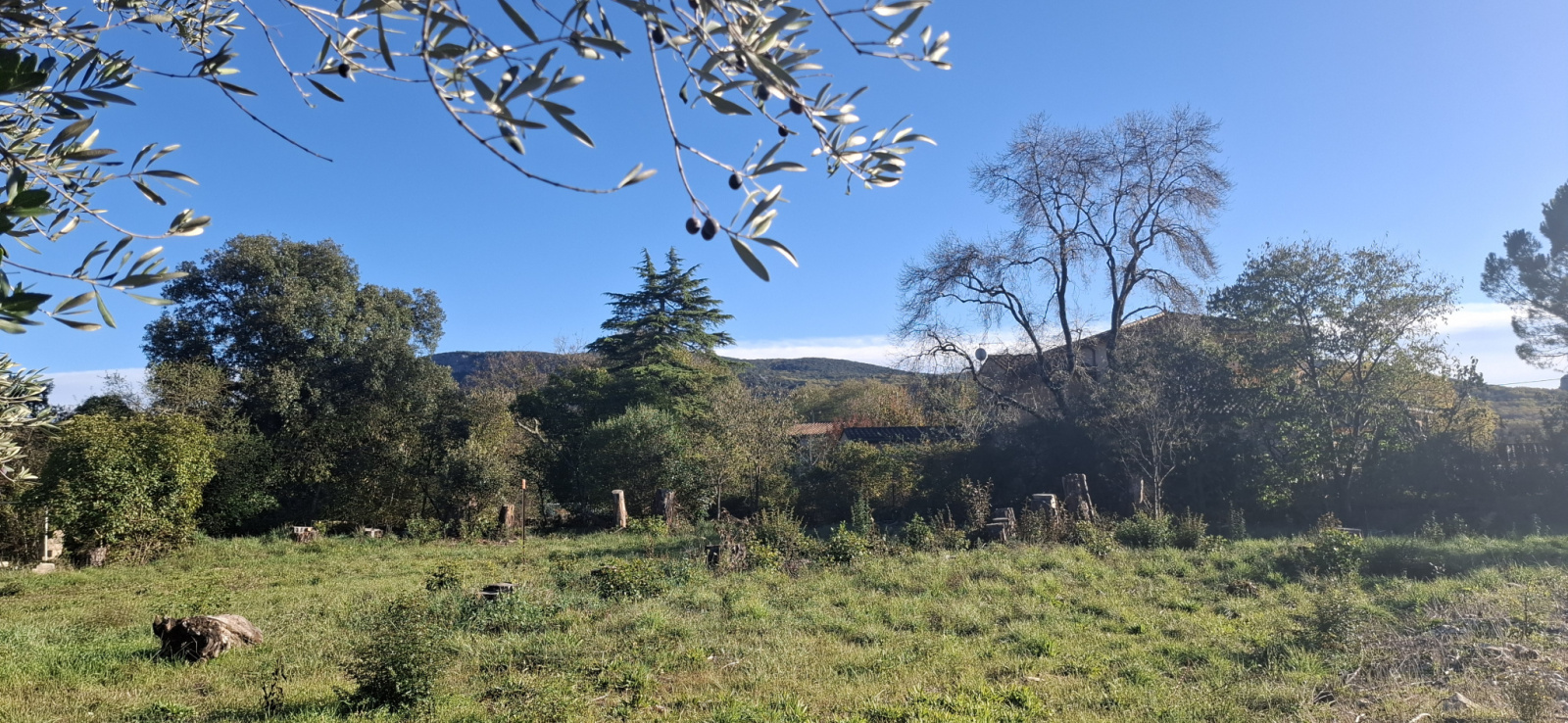 Image_, Terrain à batir, Laroque, ref :4478