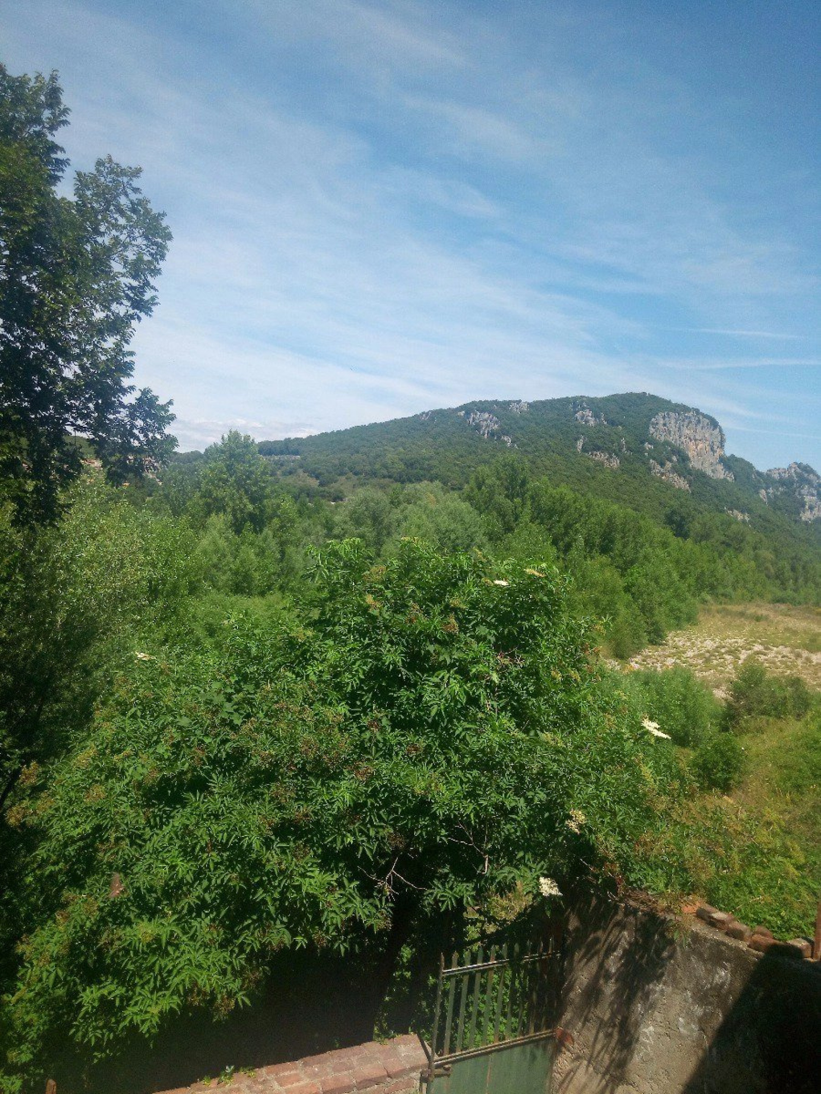 Image_, Maison, Saint-Bauzille-de-Putois, ref :4570