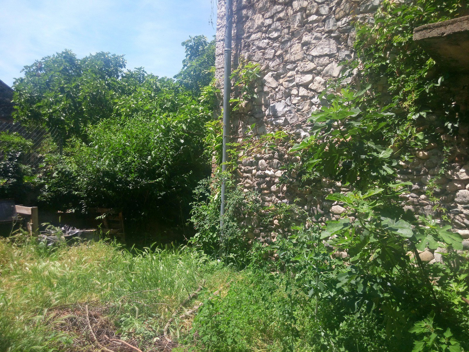 Image_, Maison, Saint-Bauzille-de-Putois, ref :4570