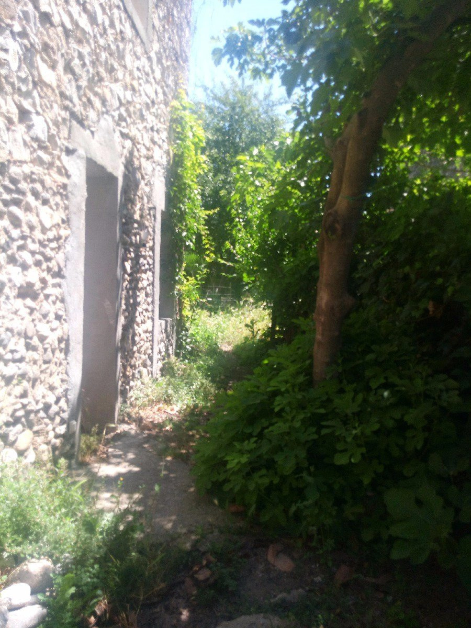 Image_, Maison, Saint-Bauzille-de-Putois, ref :4570