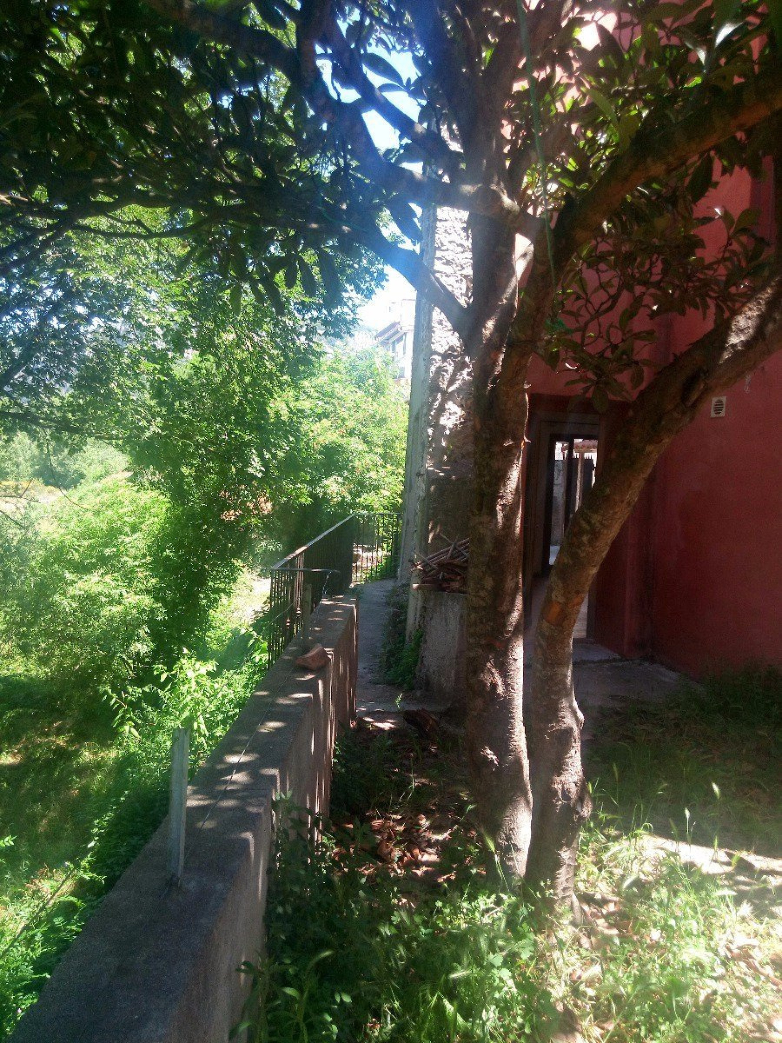 Image_, Maison, Saint-Bauzille-de-Putois, ref :4570