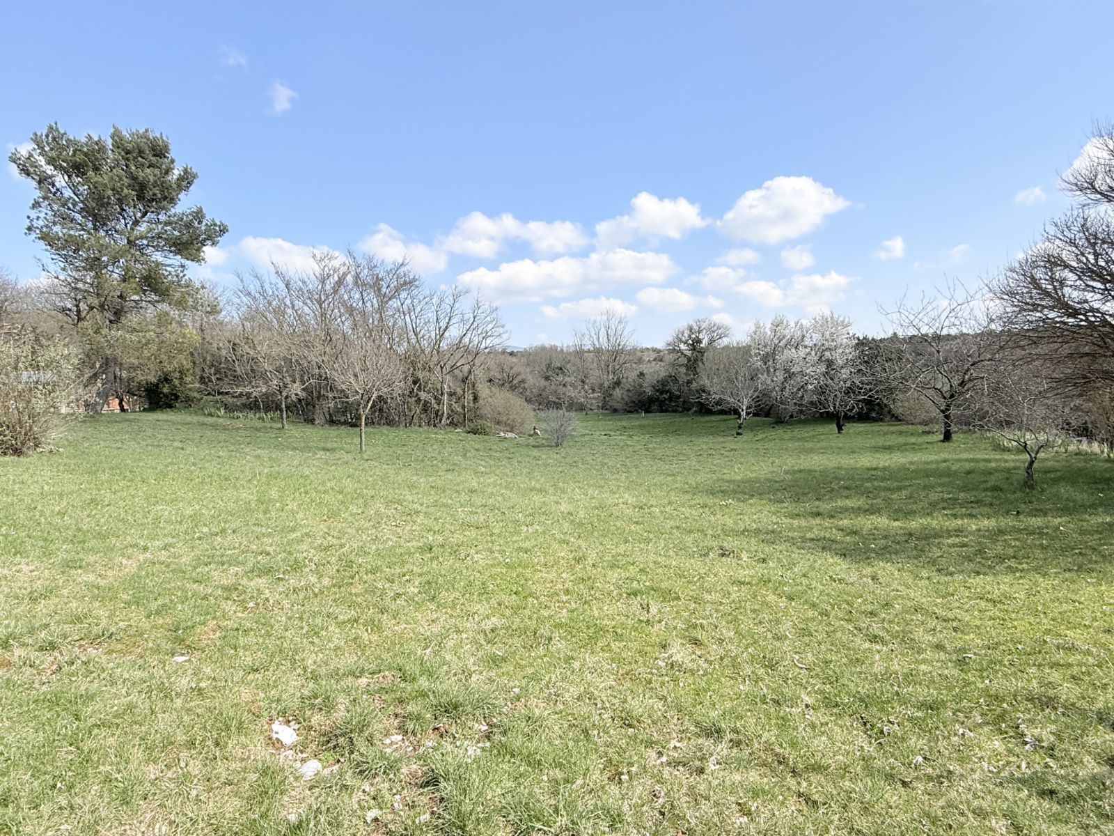 Image_, Maison, Campestre-et-Luc, ref :2785