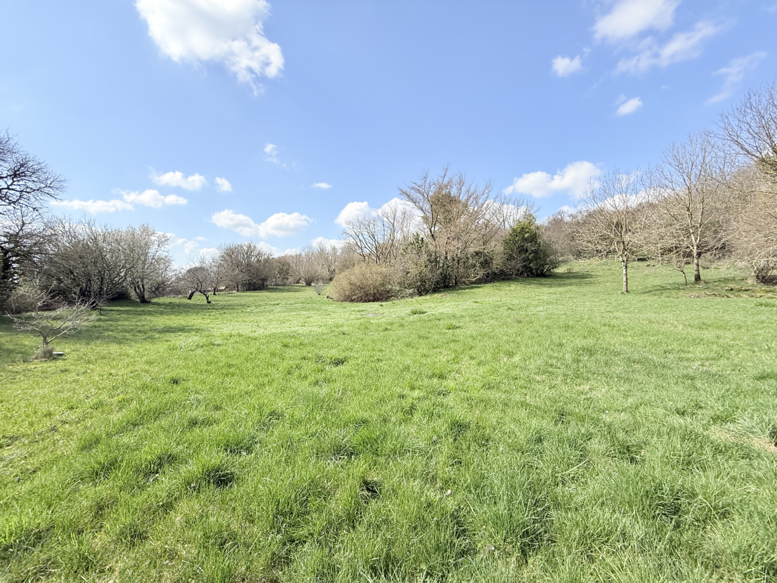 Image_, Maison, Campestre-et-Luc, ref :2785