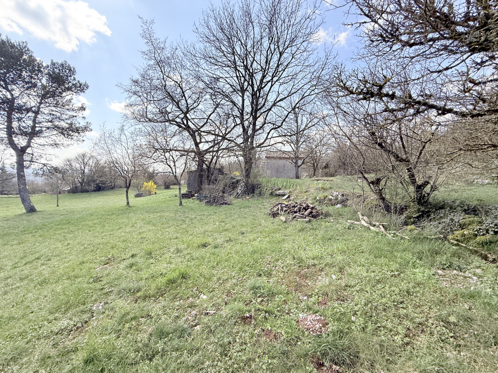 Image_, Maison, Campestre-et-Luc, ref :2785