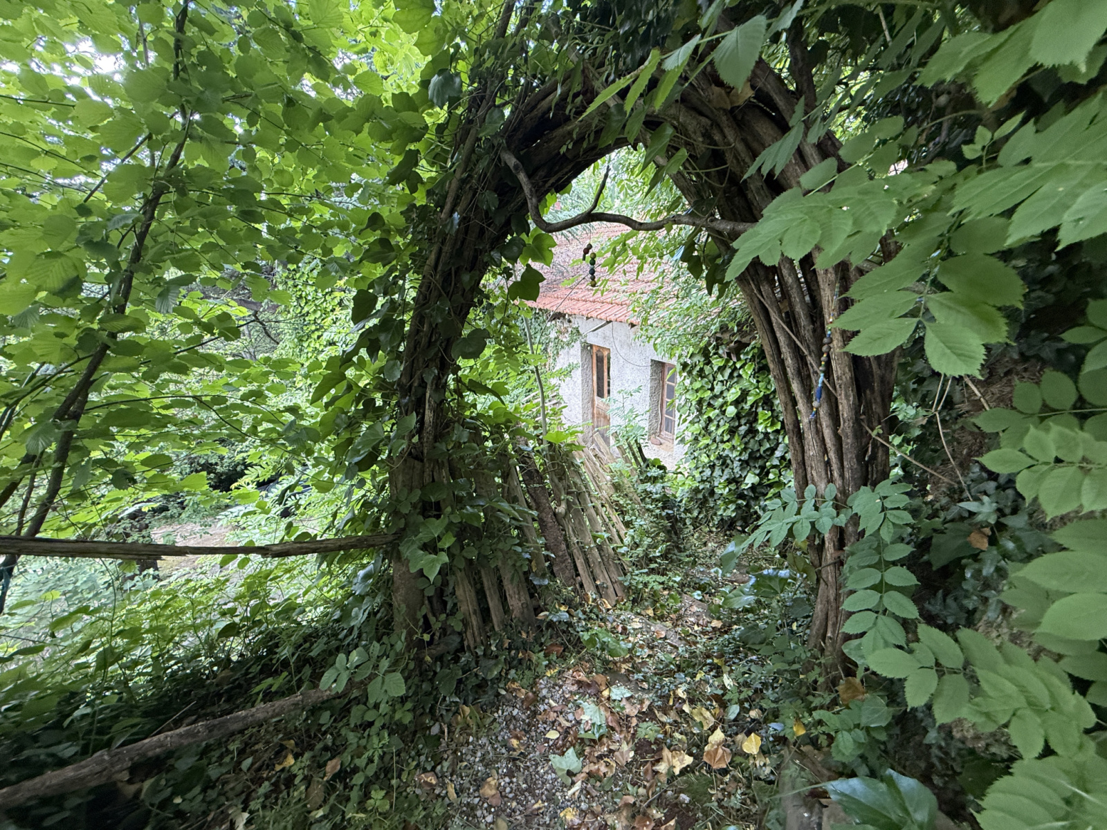 Image_, Mas, Roquedur, ref :2761