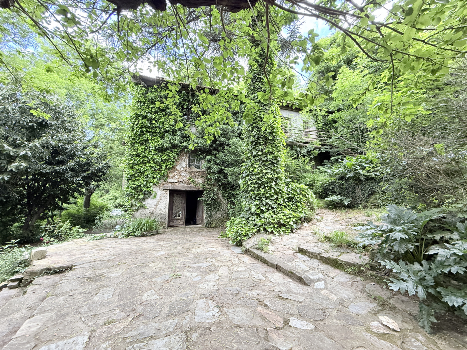 Image_, Mas, Roquedur, ref :2761