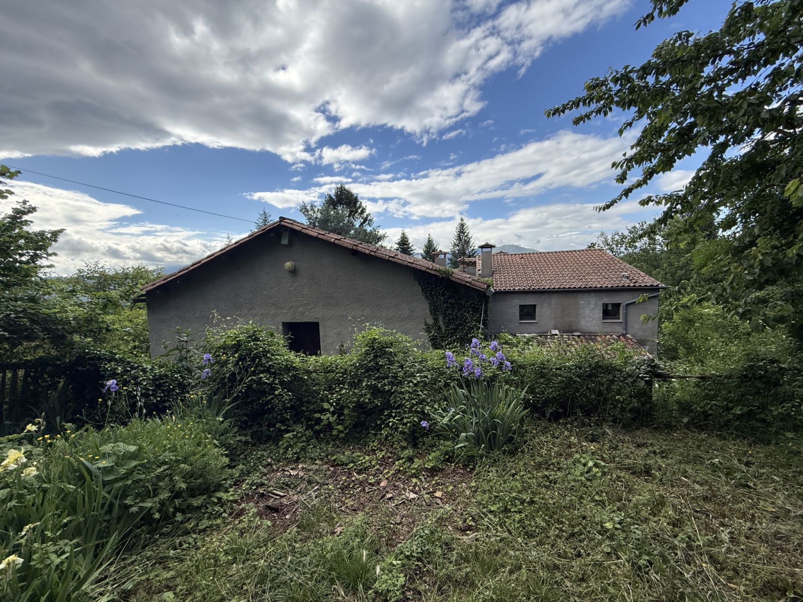 Image_, Mas, Roquedur, ref :2761