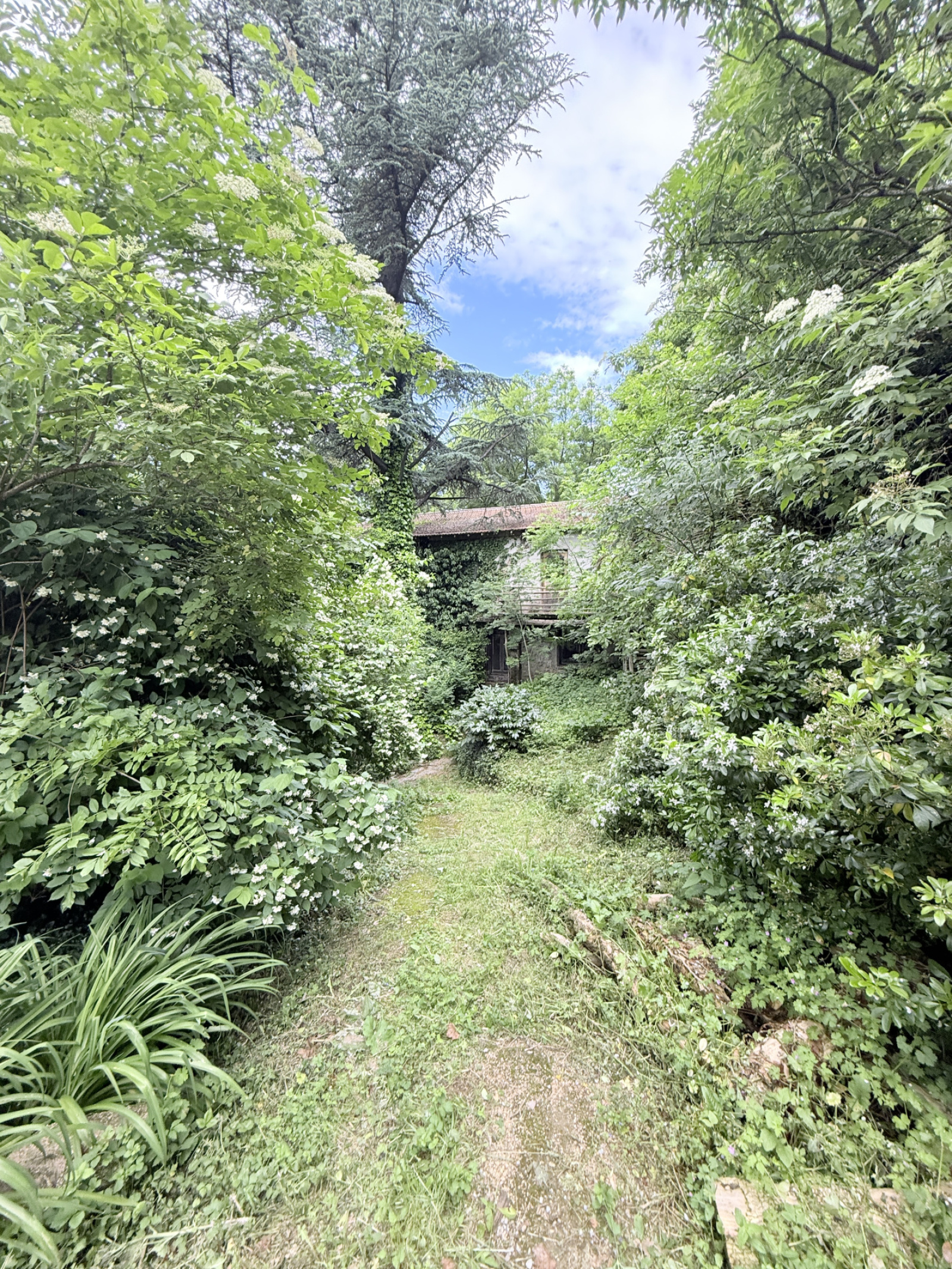 Image_, Mas, Roquedur, ref :2761