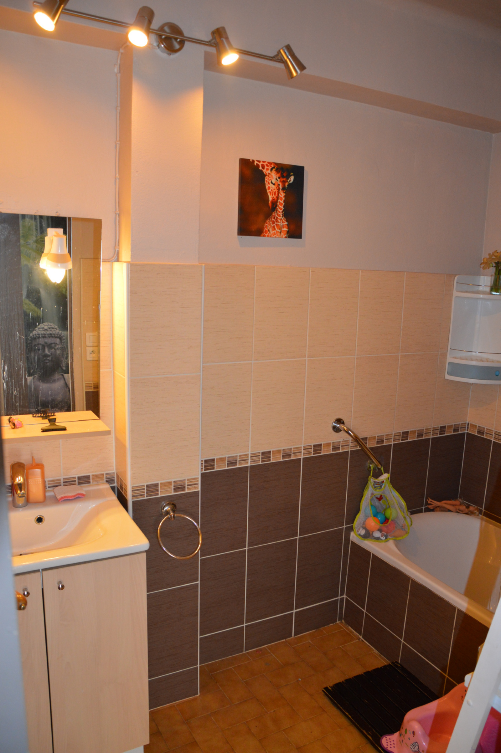 Image_, Appartement, Le Vigan, ref :9441