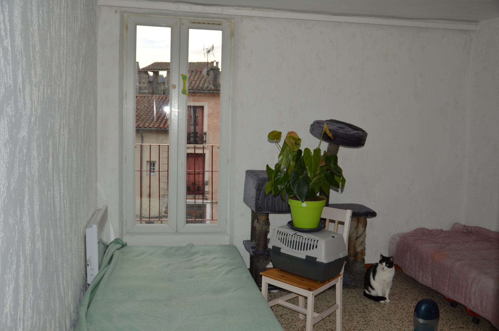 Image_, Appartement, Le Vigan, ref :1449