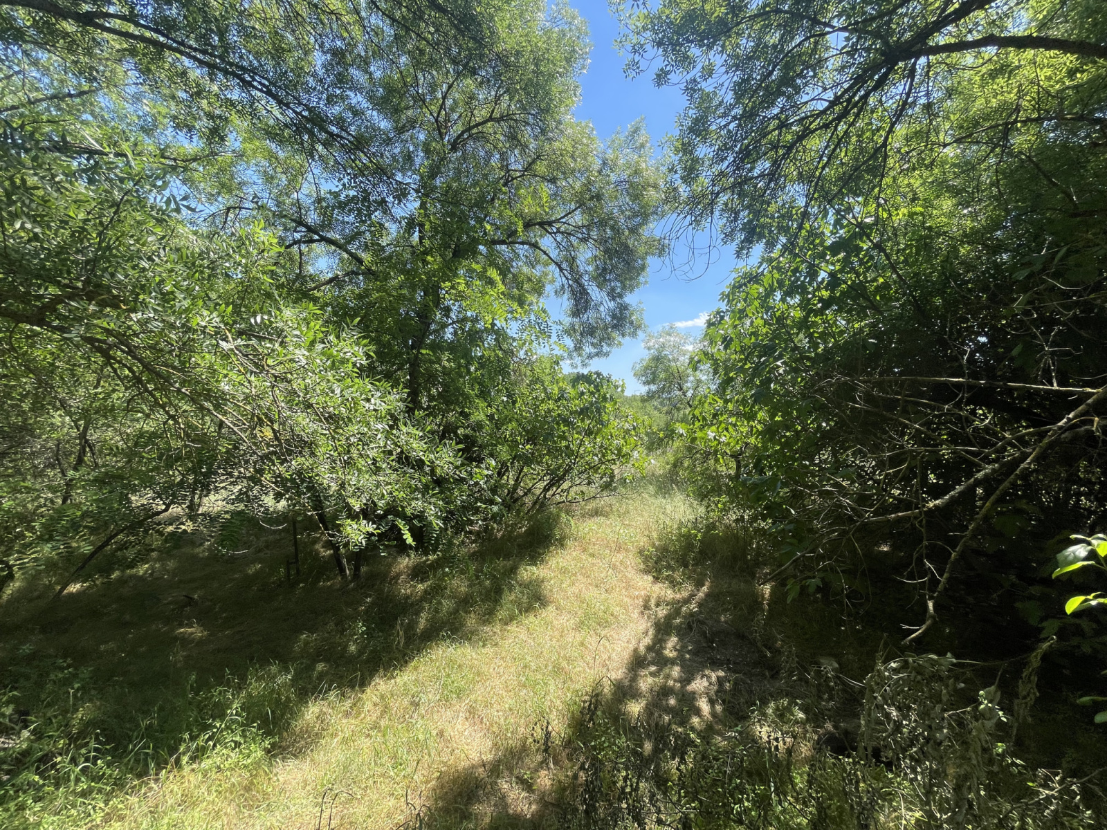 Image_, Maison, Ganges, ref :4610