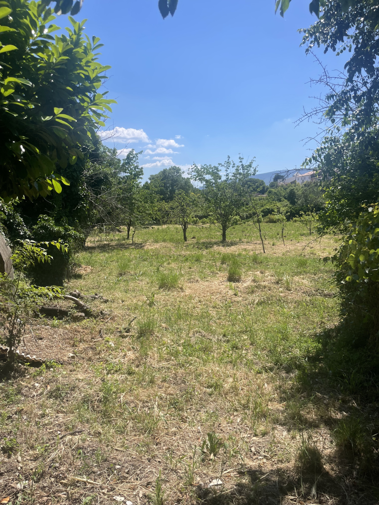 Image_, Maison, Ganges, ref :4610