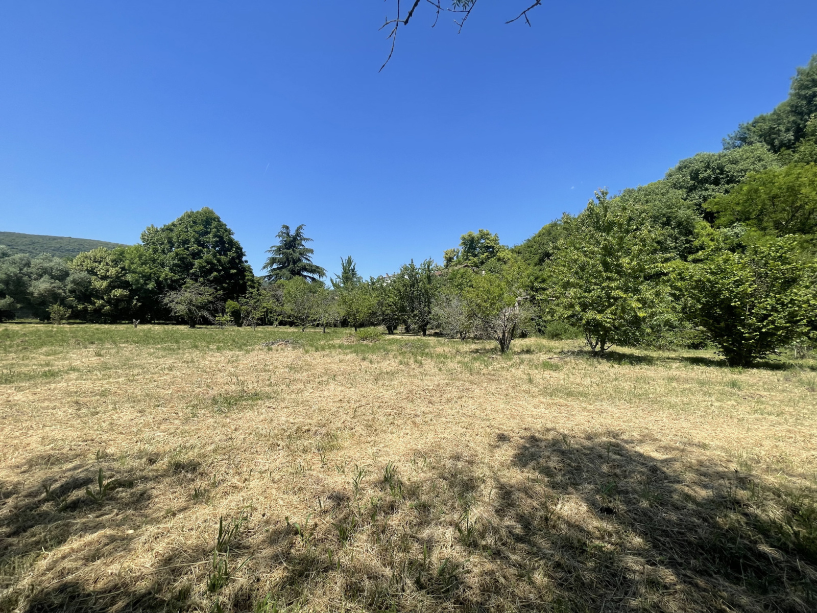 Image_, Maison, Ganges, ref :4610