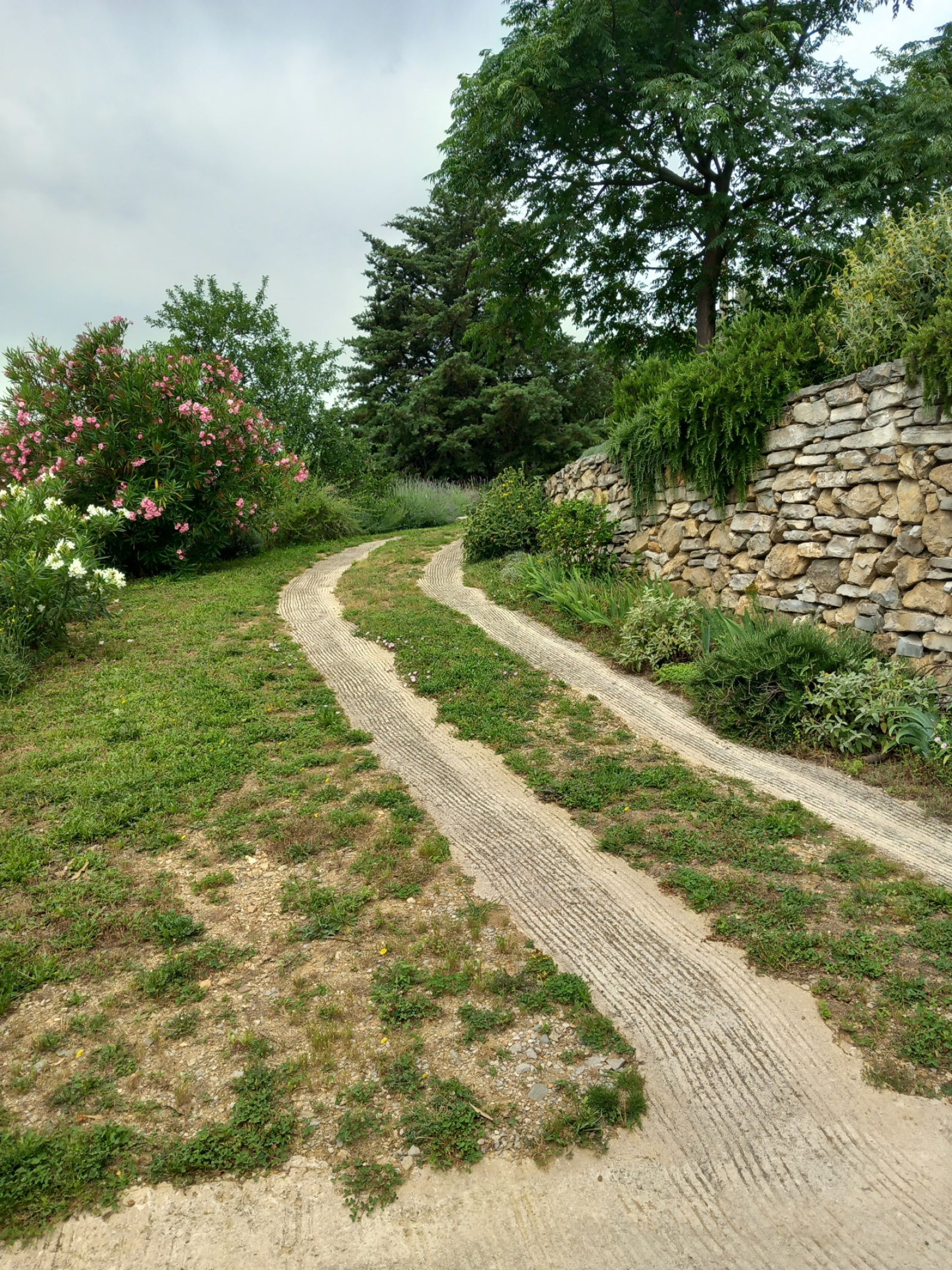 Image_, Studio, Le Vigan, ref :OND1