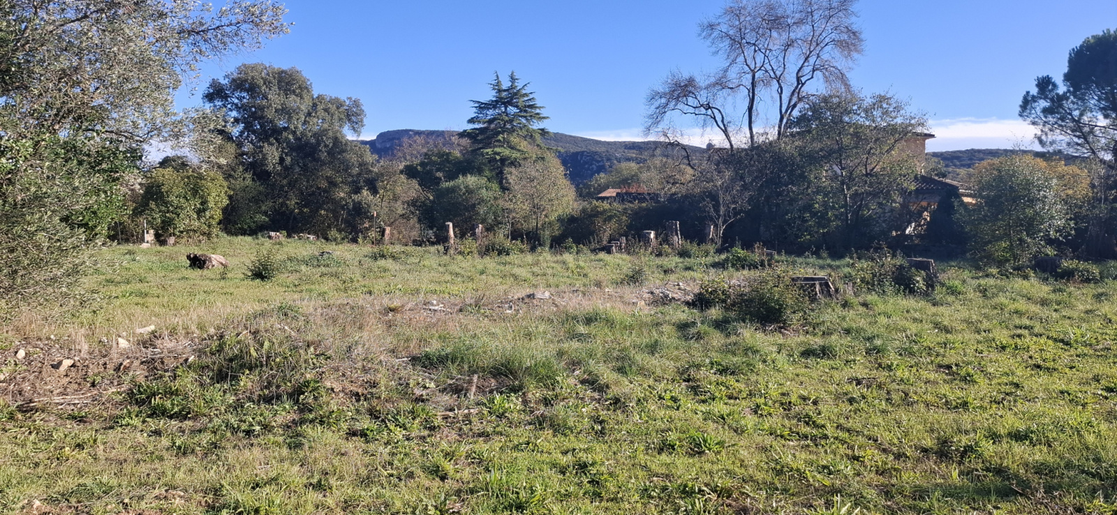 Image_, Terrain à batir, Laroque, ref :4476