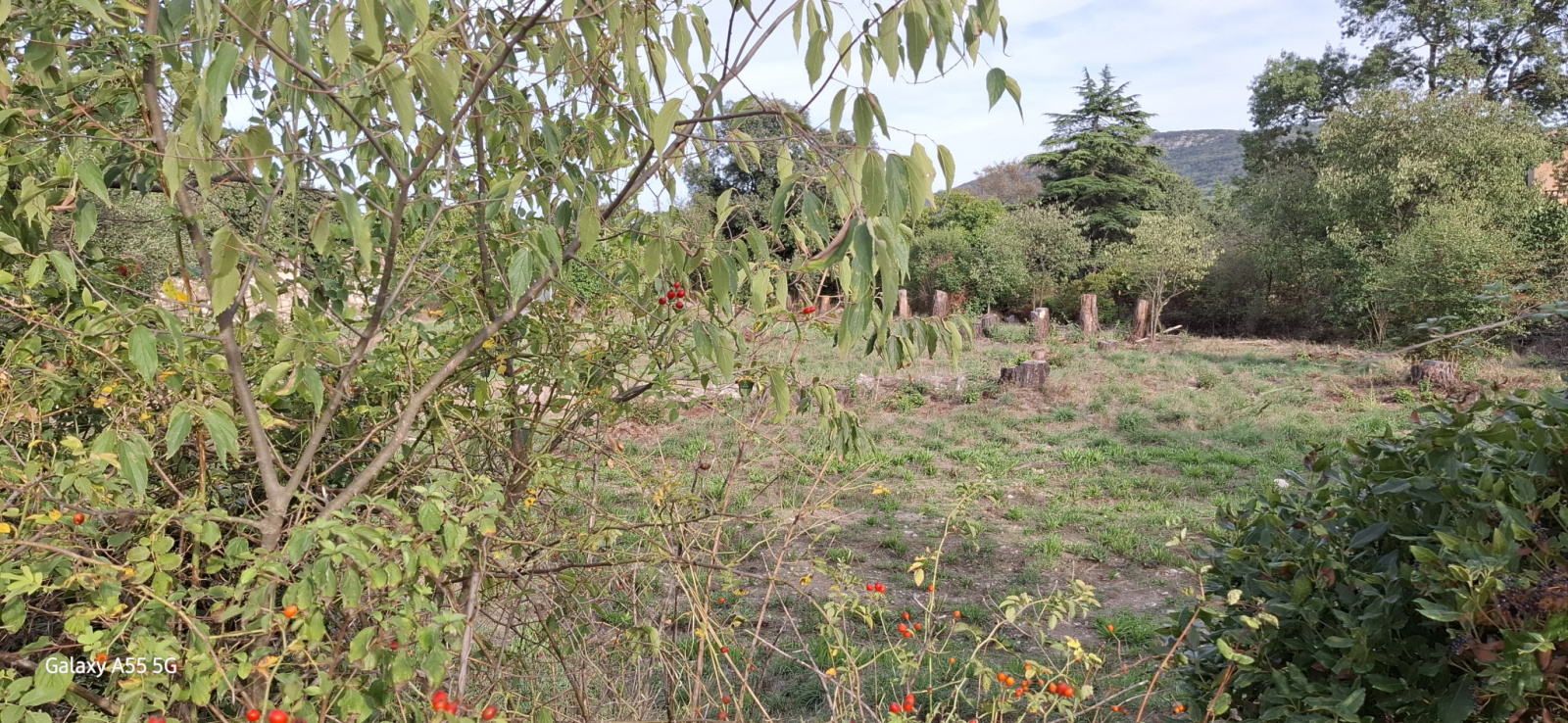 Image_, Terrain à batir, Laroque, ref :S - 4502