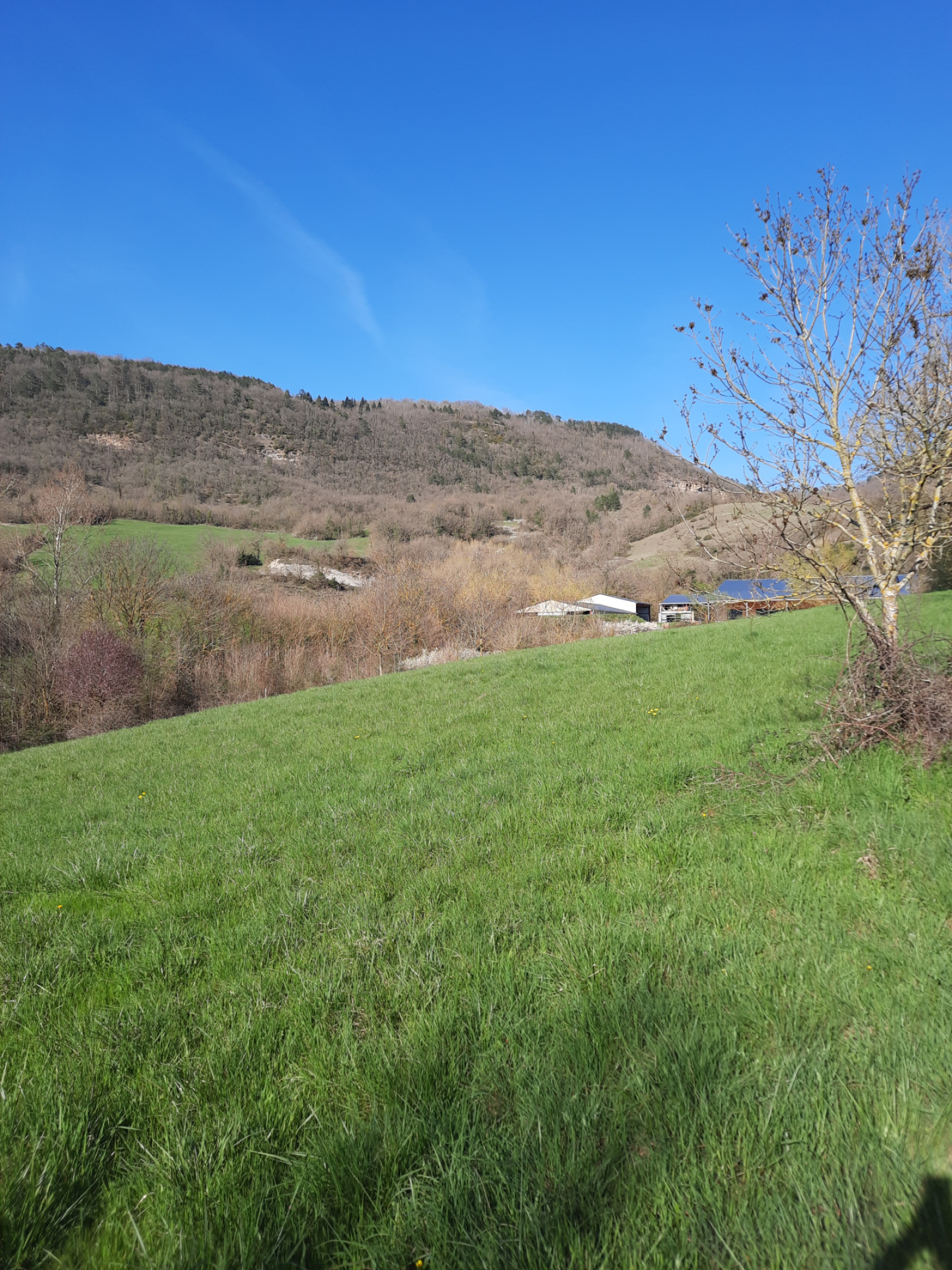 Image_, Terrain, Sainte-Eulalie-de-Cernon, ref :LC 3206
