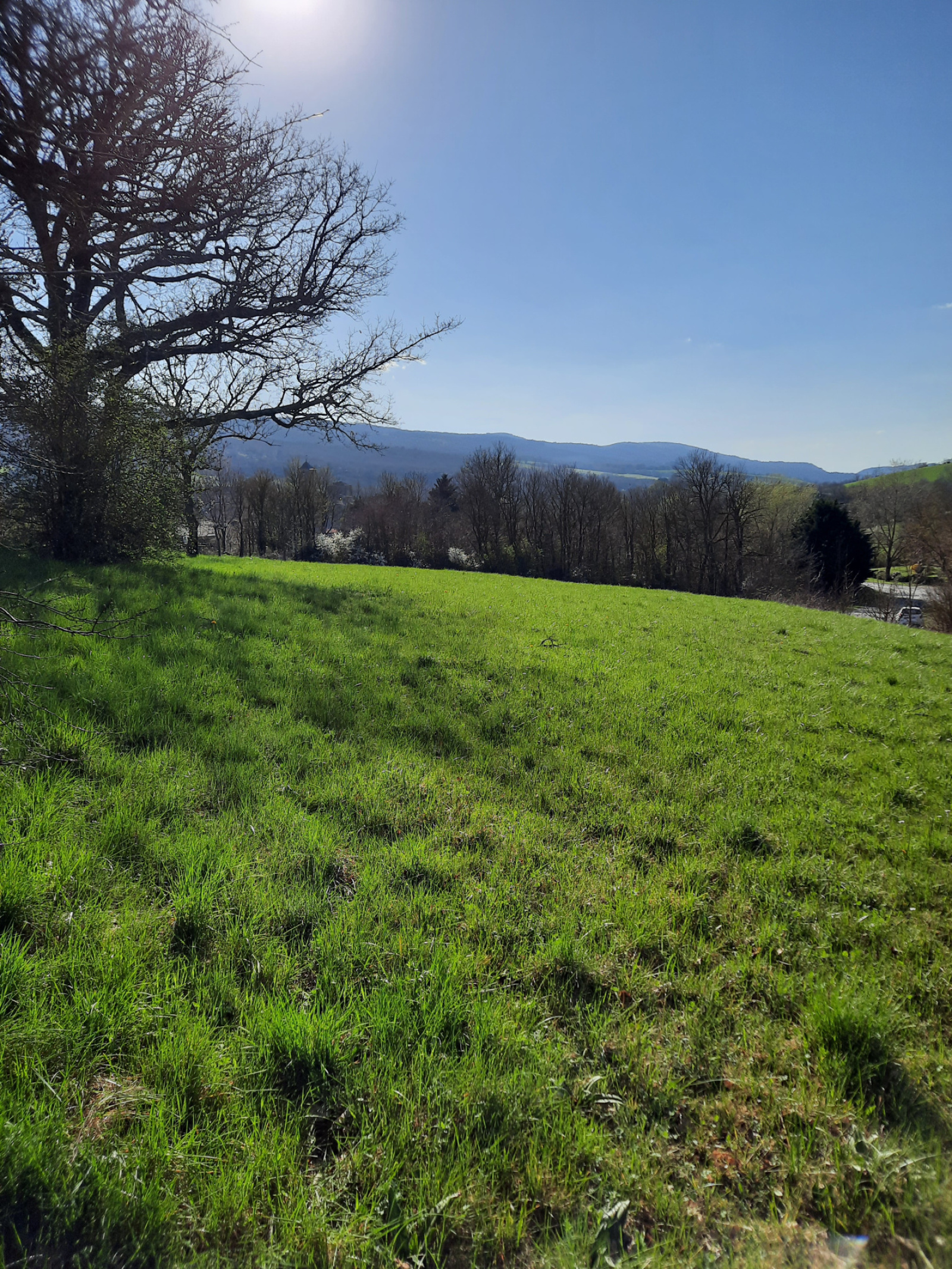 Image_, Terrain, Sainte-Eulalie-de-Cernon, ref :LC 3206