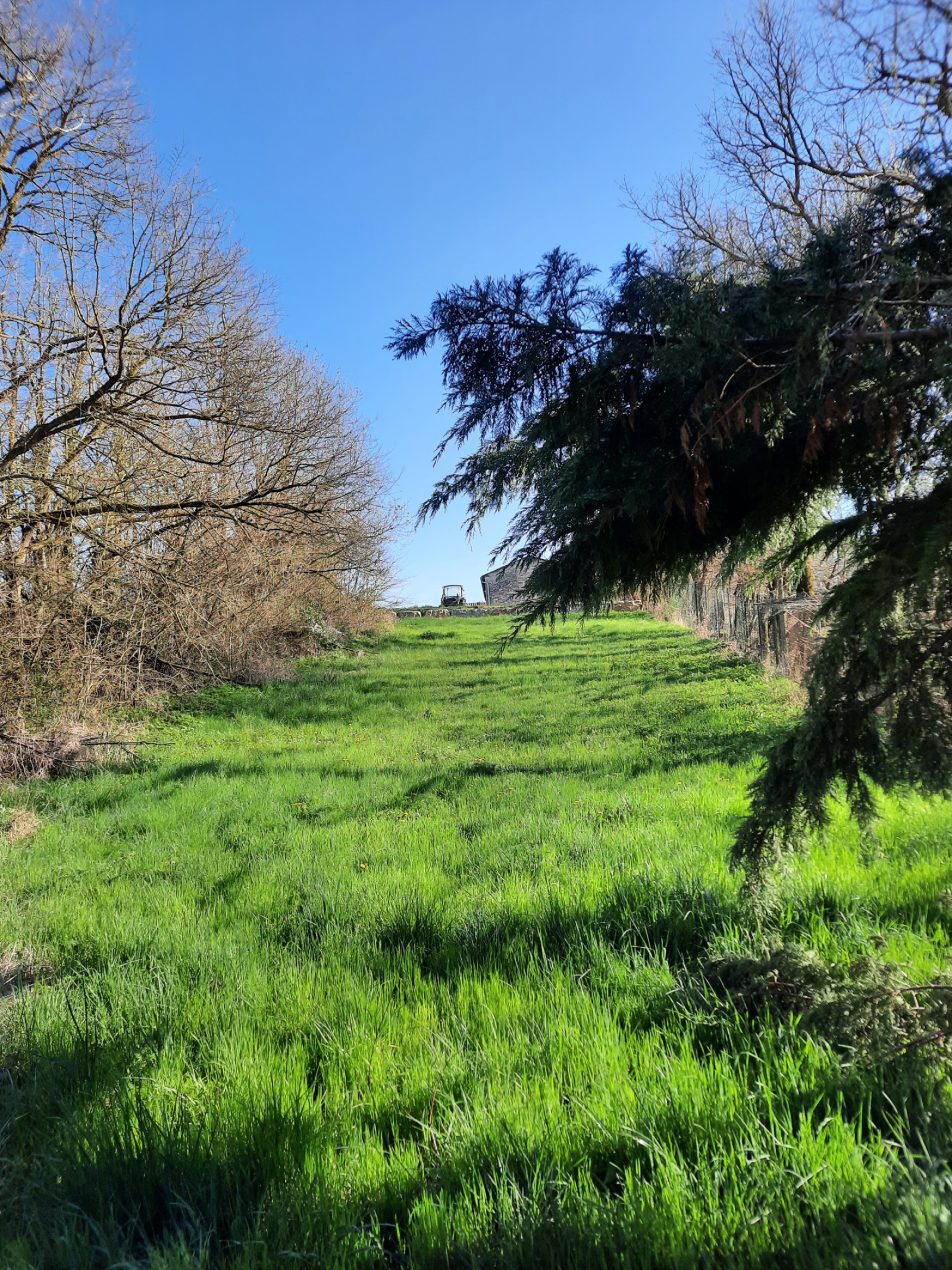 Image_, Terrain, Sainte-Eulalie-de-Cernon, ref :LC 3206