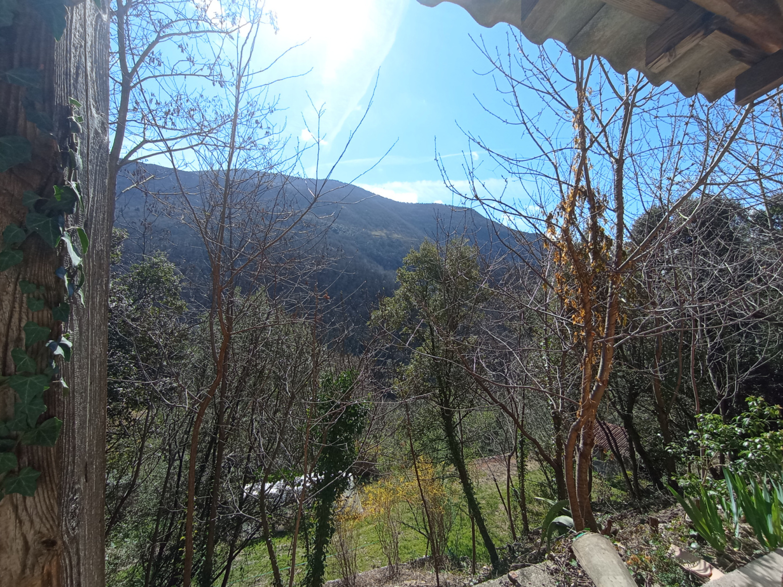 Image_, Maison, Saint-Roman-de-Codières, ref :A0182