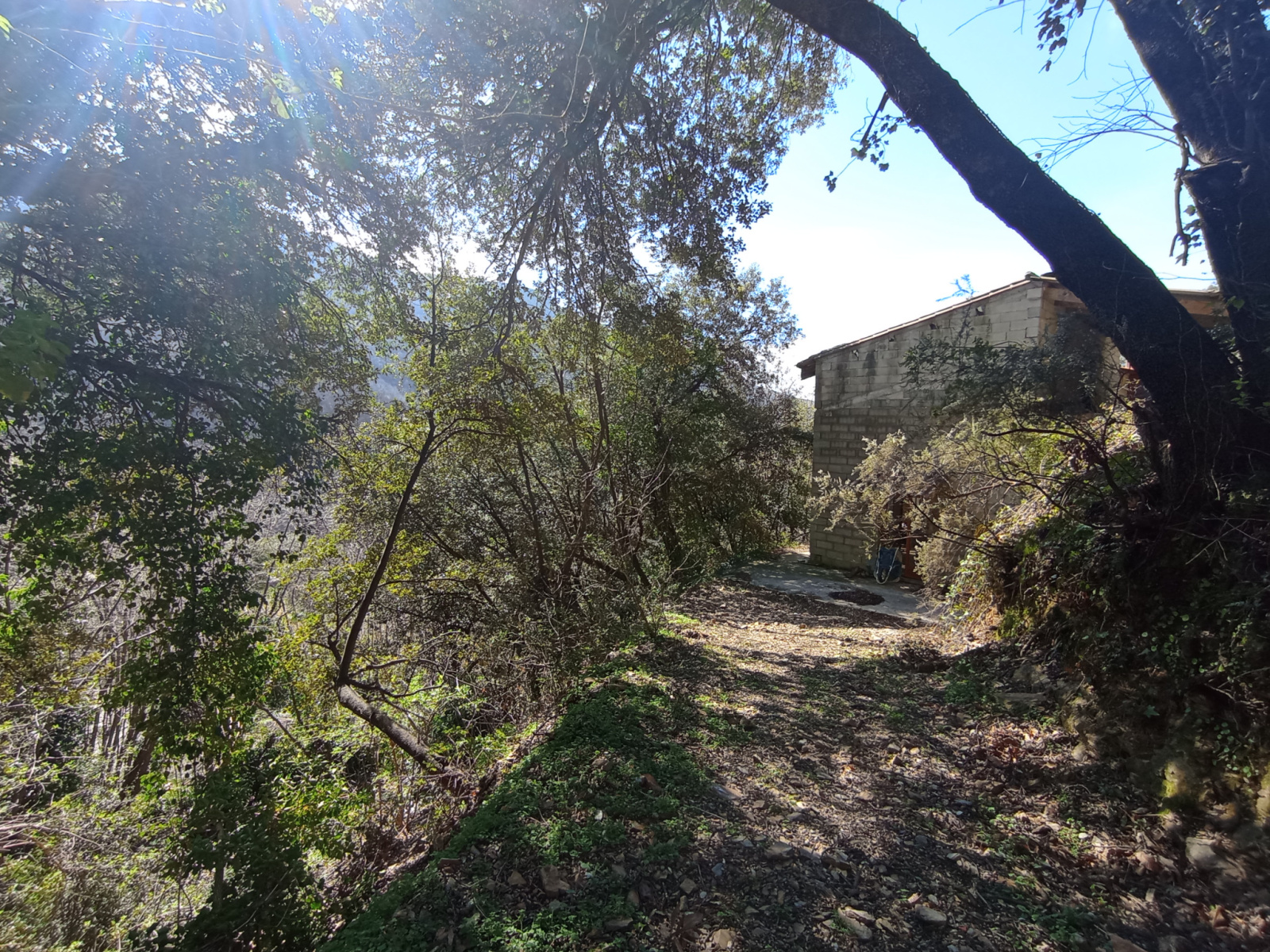 Image_, Maison, Saint-Roman-de-Codières, ref :A0182