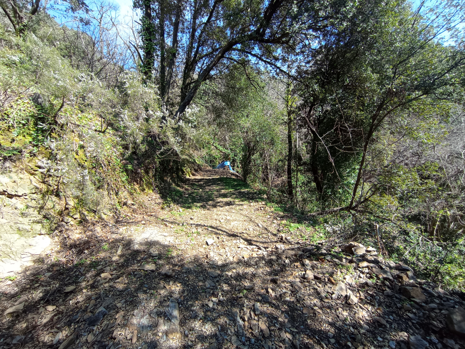 Image_, Maison, Saint-Roman-de-Codières, ref :A0182