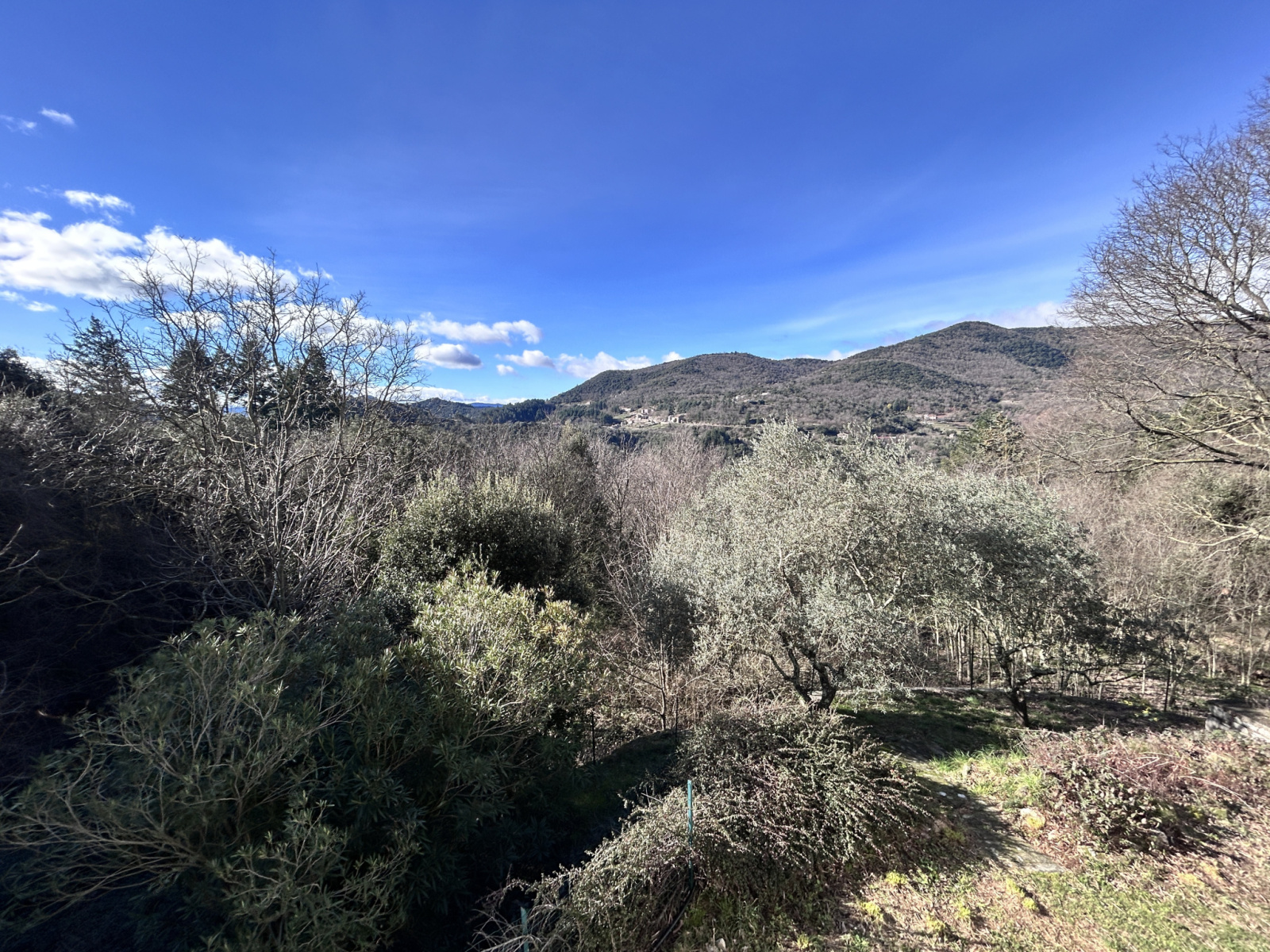 Image_, Maison, Saint-André-de-Majencoules, ref :2778