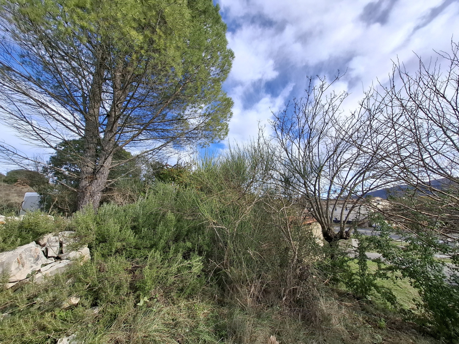 Image_, Terrain à batir, Moulès-et-Baucels, ref :S 4579