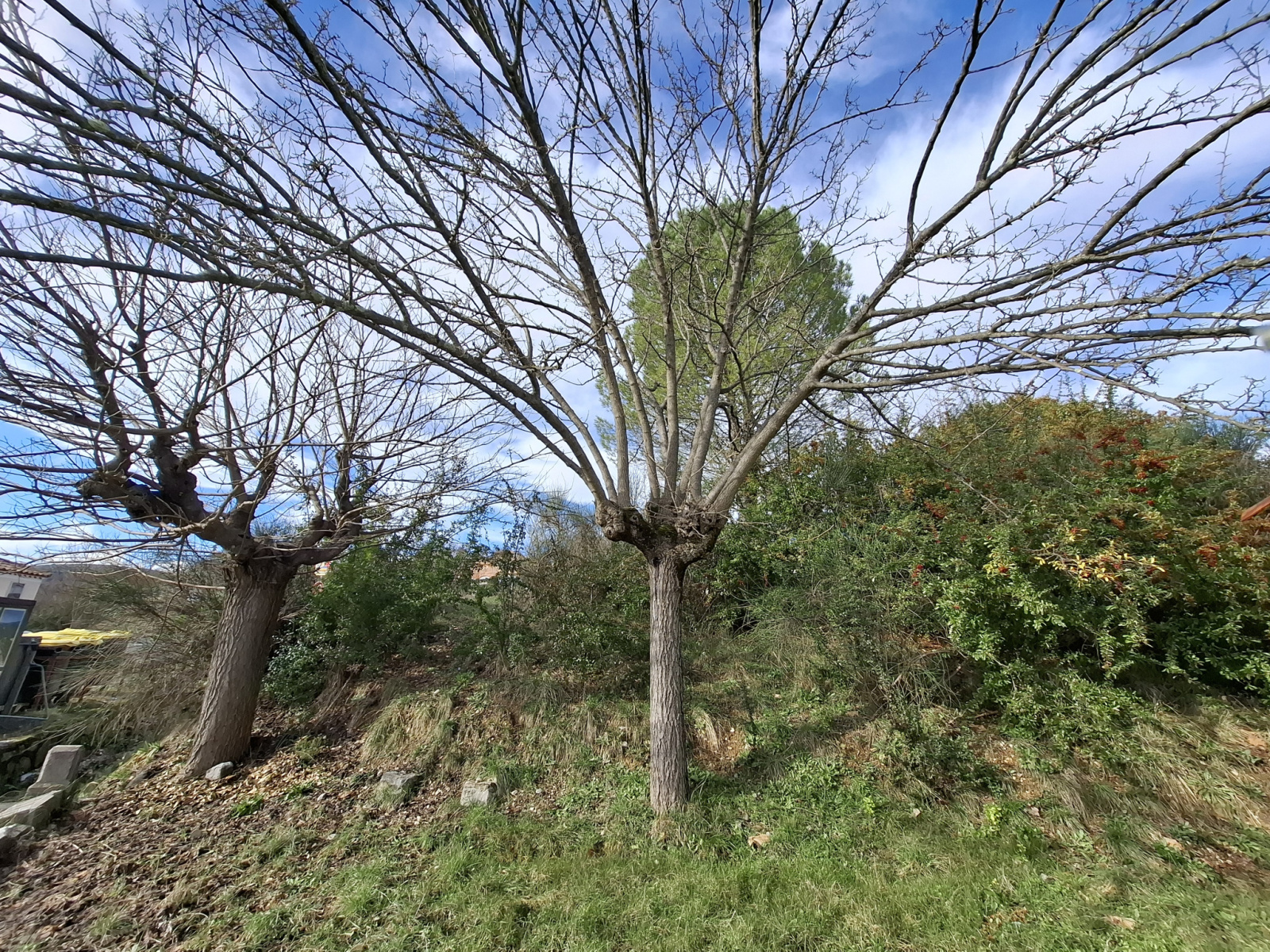 Image_, Terrain à batir, Moulès-et-Baucels, ref :S 4579
