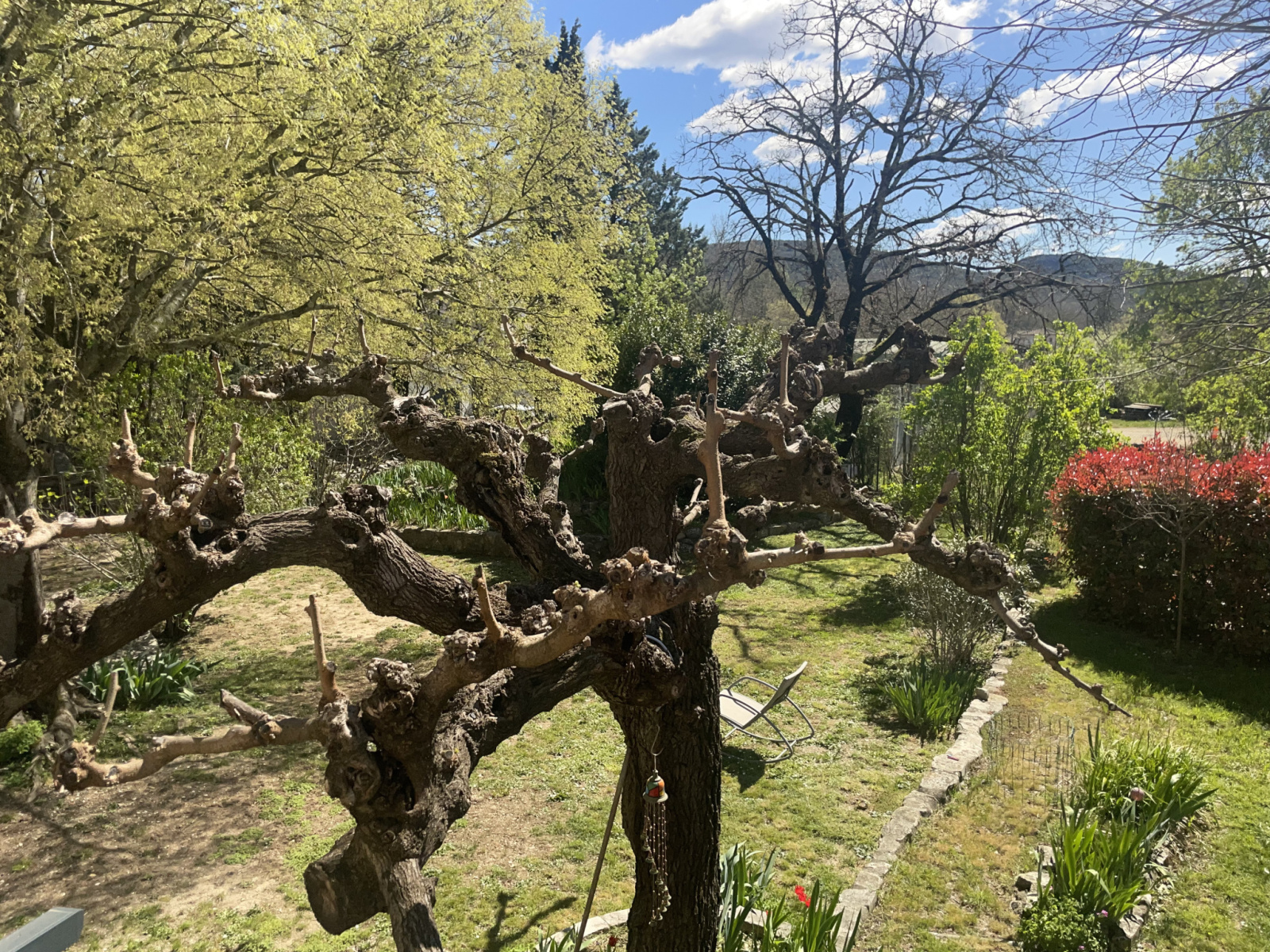 Image_, Villa, Laroque, ref :4586