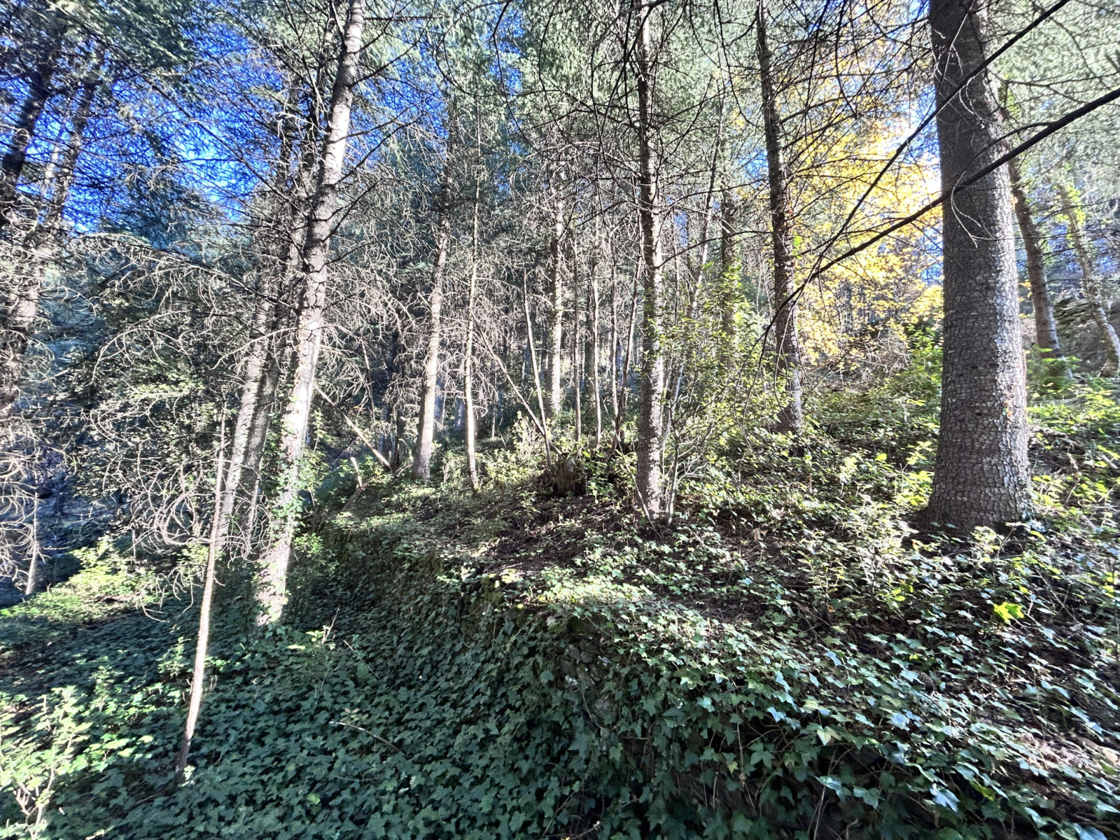 Image_, Terrain, Aulas, ref :918