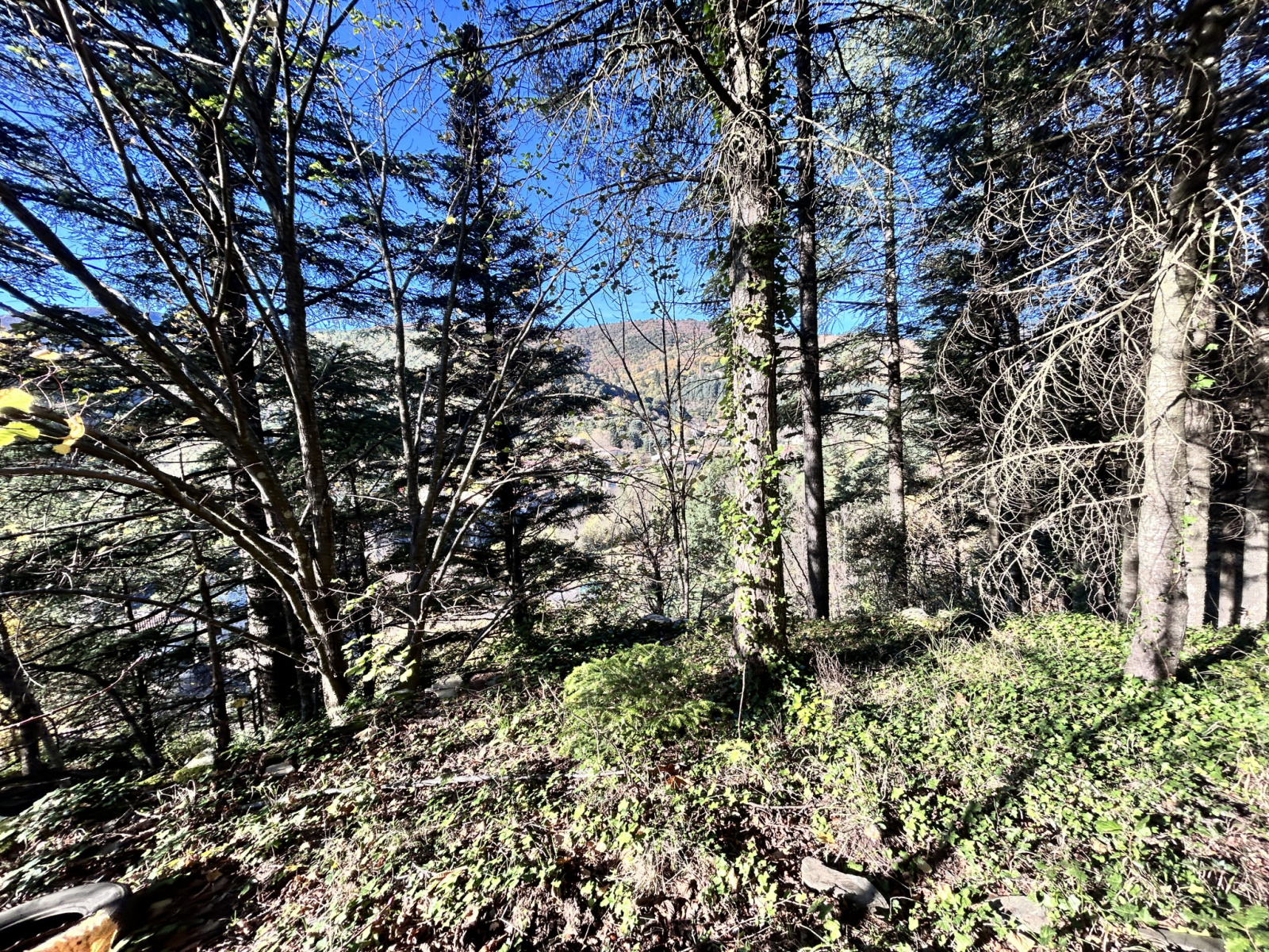 Image_, Terrain, Aulas, ref :918