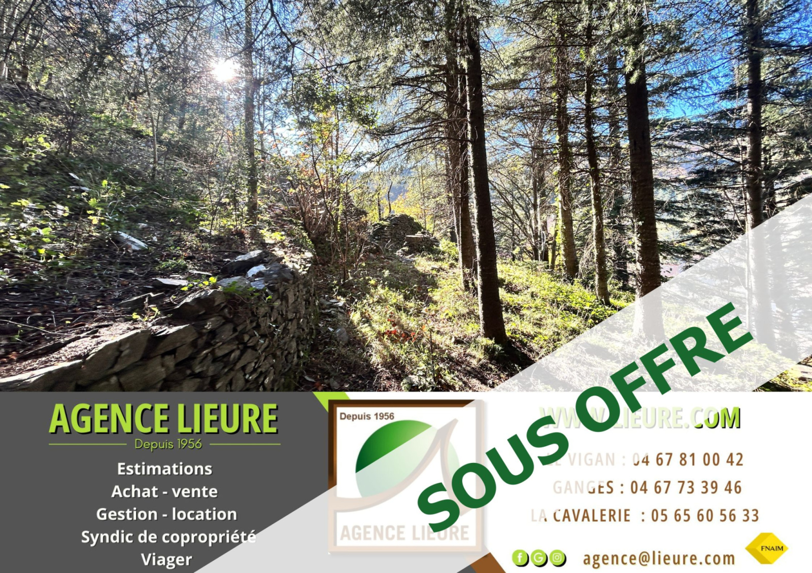 Image_, Terrain, Aulas, ref :918