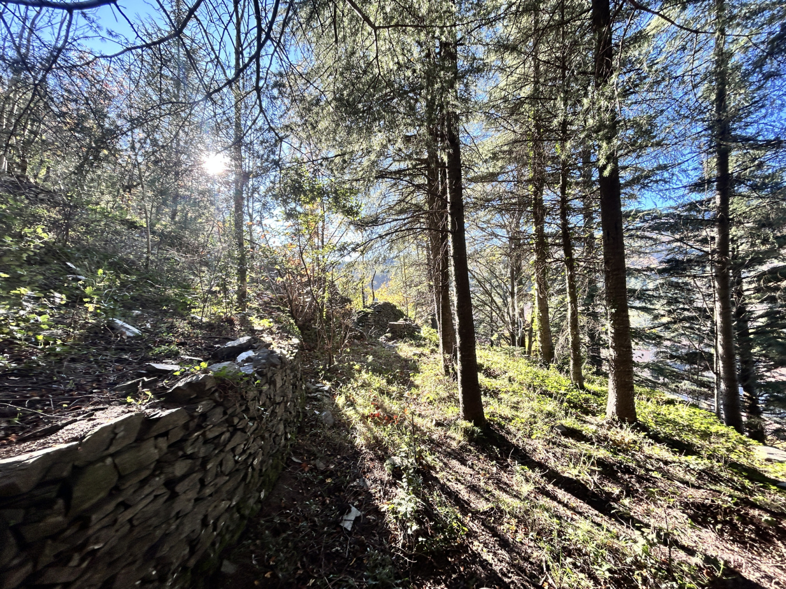 Image_, Terrain, Aulas, ref :918