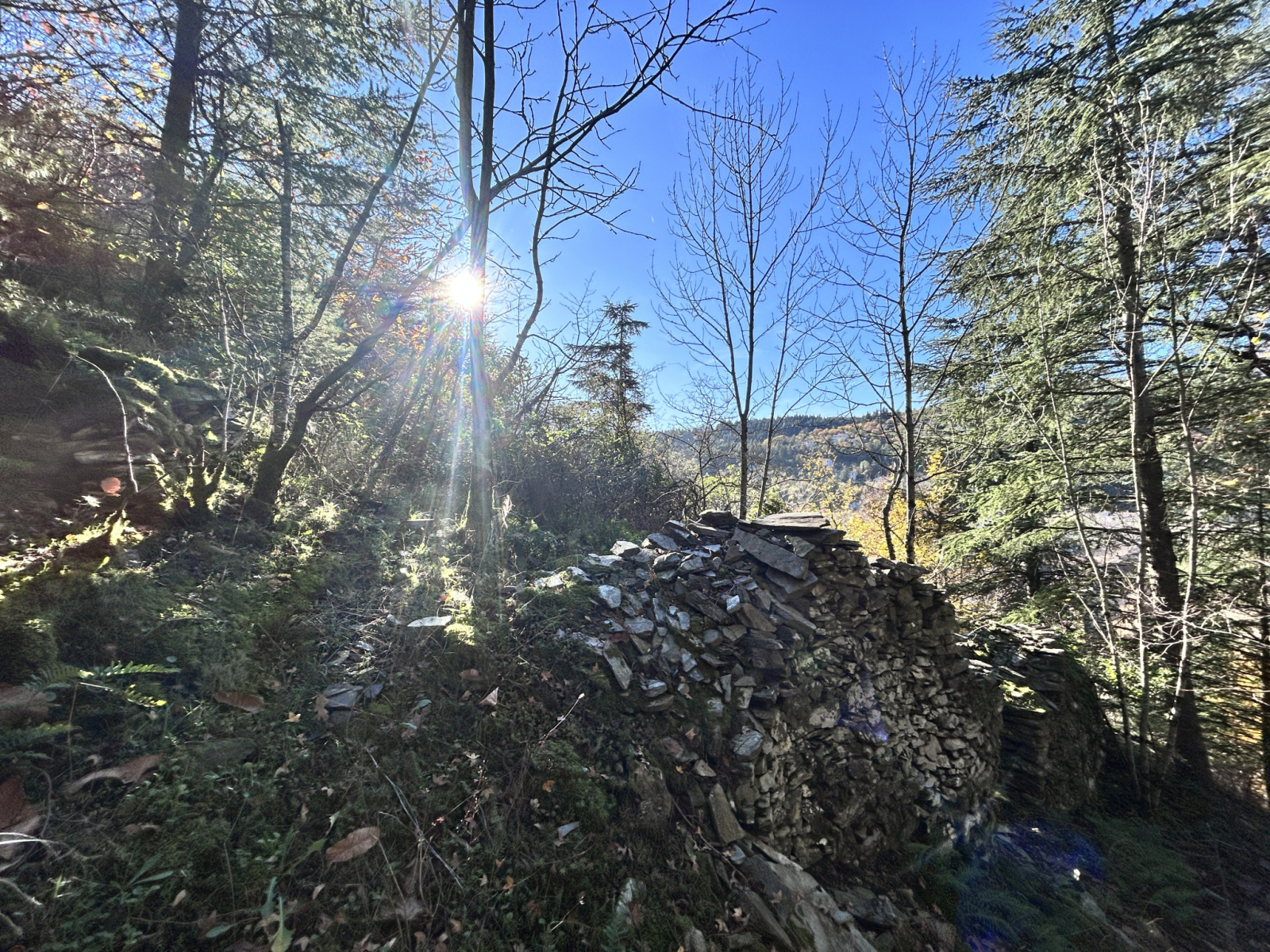 Image_, Terrain, Aulas, ref :918